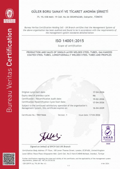ISO 14001:2015 (EN)
